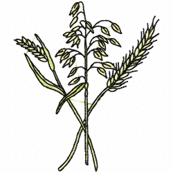 Plants Embroidery Design 4